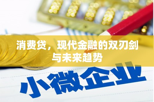 全南消费贷，现代金融的双刃剑与未来趋势