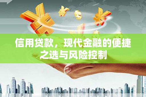 全南信用贷款，现代金融的便捷之选与风险控制