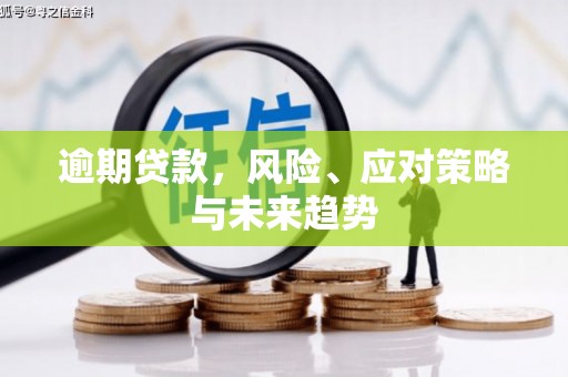 全南逾期贷款，风险、应对策略与未来趋势