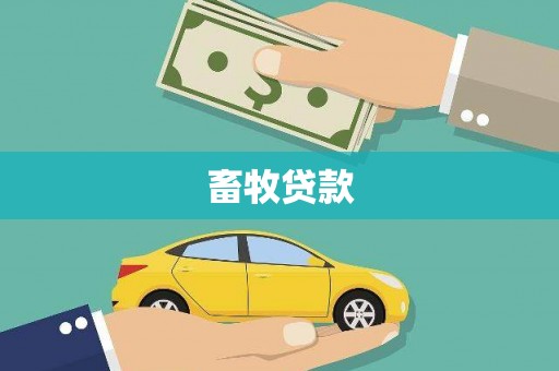 全南畜牧贷款