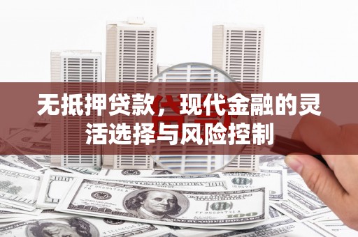 全南无抵押贷款，现代金融的灵活选择与风险控制