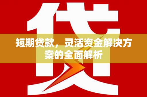 全南短期贷款，灵活资金解决方案的全面解析