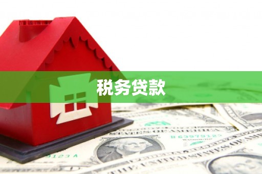 全南税务贷款
