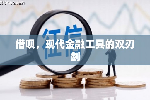 全南借呗，现代金融工具的双刃剑