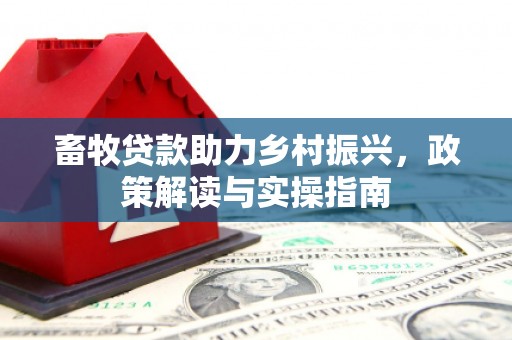 全南畜牧贷款助力乡村振兴，政策解读与实操指南