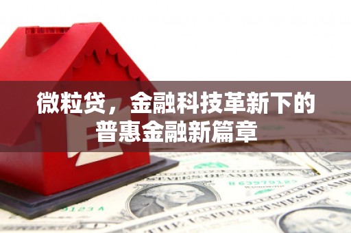 全南微粒贷，金融科技革新下的普惠金融新篇章