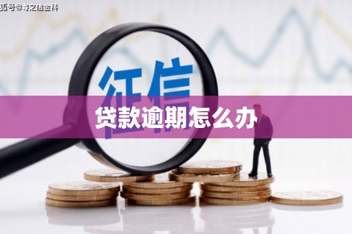 全南贷款逾期怎么办