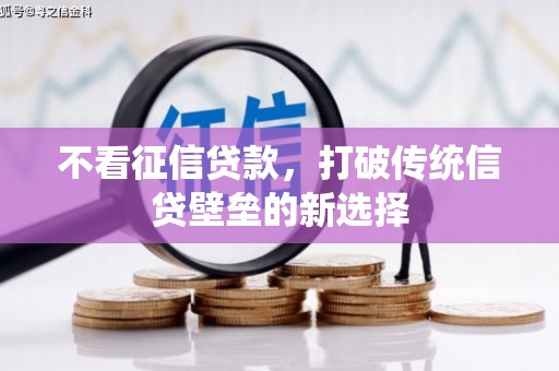 全南不看征信贷款，打破传统信贷壁垒的新选择