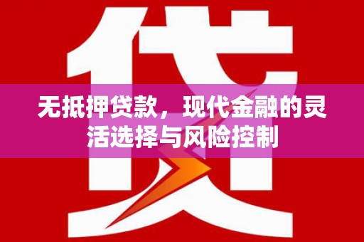 全南无抵押贷款，现代金融的灵活选择与风险控制