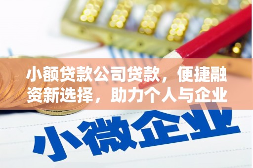 全南小额贷款公司贷款，便捷融资新选择，助力个人与企业成长