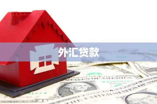 全南外汇贷款