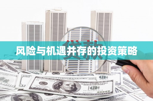 全南风险与机遇并存的投资策略