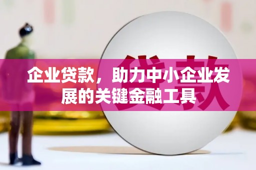 全南企业贷款，助力中小企业发展的关键金融工具