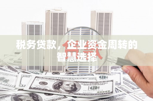 全南税务贷款，企业资金周转的智慧选择