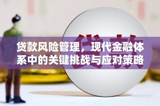 全南贷款风险管理，现代金融体系中的关键挑战与应对策略