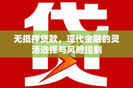 全南无抵押贷款，现代金融的灵活选择与风险控制
