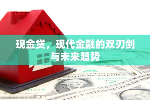 全南现金贷，现代金融的双刃剑与未来趋势