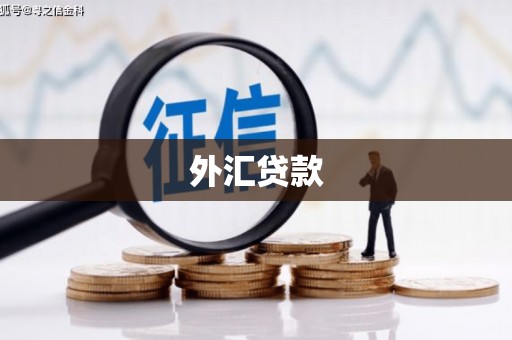 全南外汇贷款