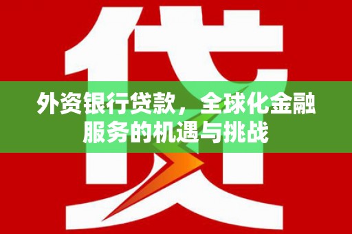 全南外资银行贷款，全球化金融服务的机遇与挑战
