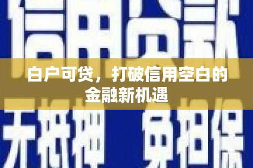 全南白户可贷，打破信用空白的金融新机遇