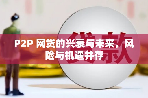全南P2P 网贷的兴衰与未来，风险与机遇并存
