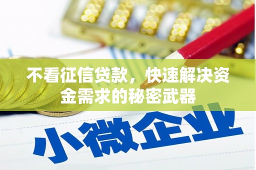 全南不看征信贷款，快速解决资金需求的秘密武器