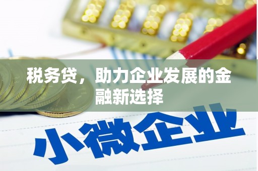 全南税务贷，助力企业发展的金融新选择