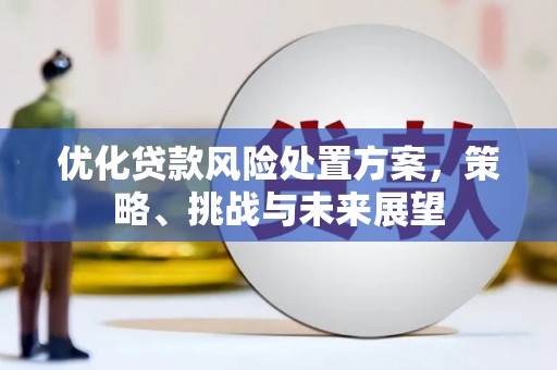 全南优化贷款风险处置方案，策略、挑战与未来展望
