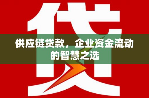 全南供应链贷款，企业资金流动的智慧之选