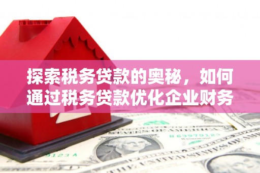 全南探索税务贷款的奥秘，如何通过税务贷款优化企业财务