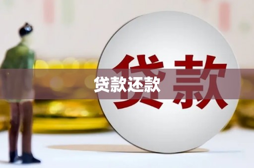 全南贷款还款
