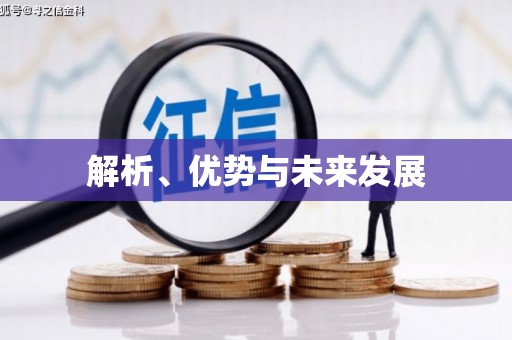 全南解析、优势与未来发展