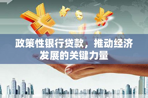 全南政策性银行贷款，推动经济发展的关键力量