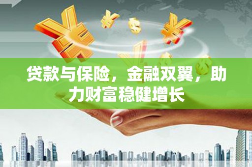 全南贷款与保险，金融双翼，助力财富稳健增长