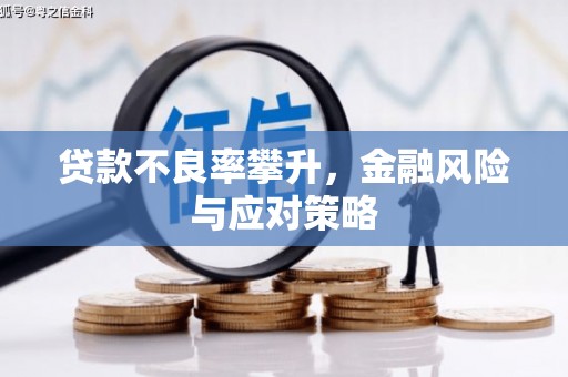 全南贷款不良率攀升，金融风险与应对策略