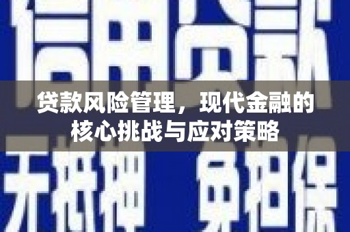 全南贷款风险管理，现代金融的核心挑战与应对策略