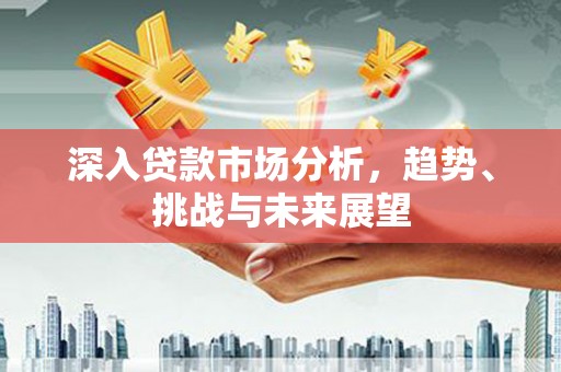 全南深入贷款市场分析，趋势、挑战与未来展望