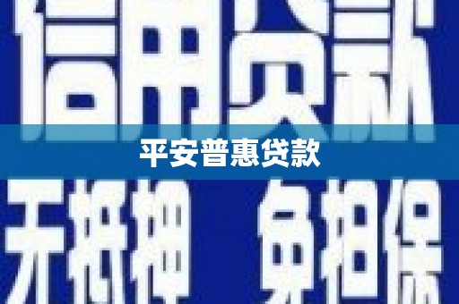 全南平安普惠贷款