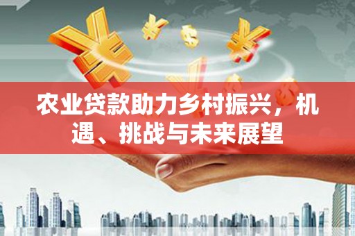 全南农业贷款助力乡村振兴，机遇、挑战与未来展望