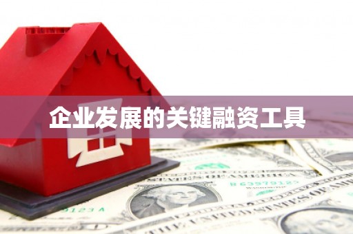 全南企业发展的关键融资工具
