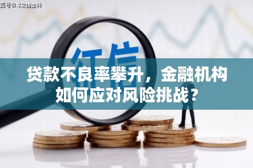 全南贷款不良率攀升，金融机构如何应对风险挑战？