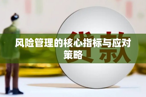全南风险管理的核心指标与应对策略