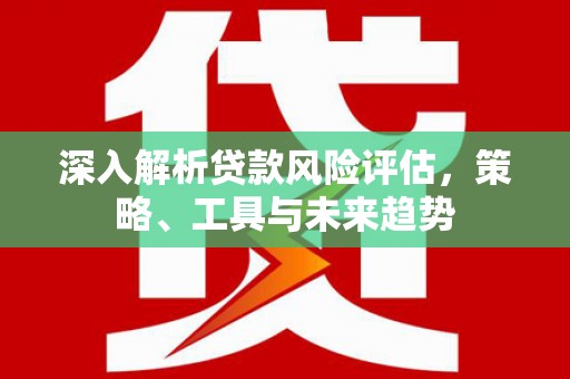 全南深入解析贷款风险评估，策略、工具与未来趋势