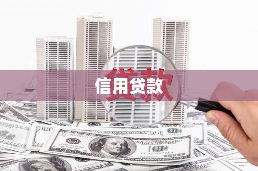全南信用贷款