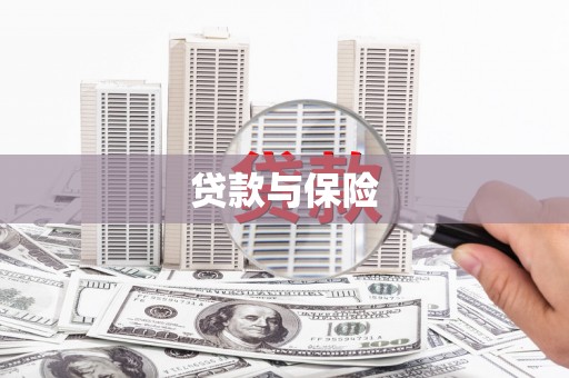 全南贷款与保险