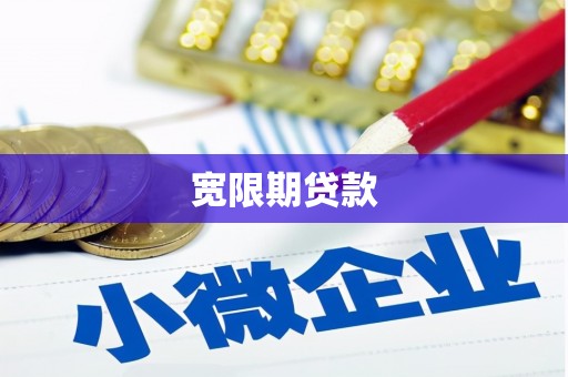 全南宽限期贷款