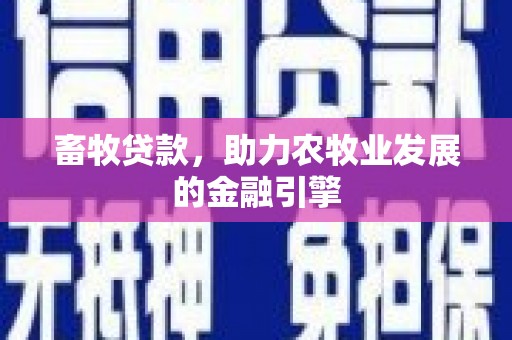 全南畜牧贷款，助力农牧业发展的金融引擎