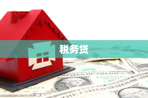 全南税务贷