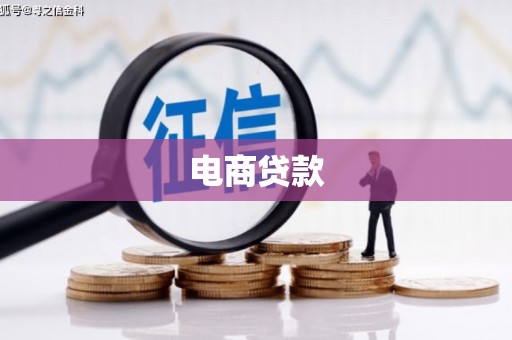 全南电商贷款