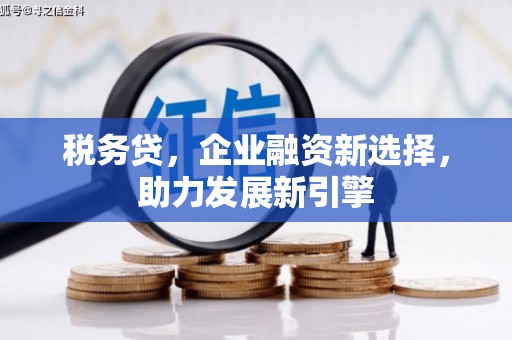 全南税务贷，企业融资新选择，助力发展新引擎